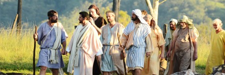 Disciple in Action