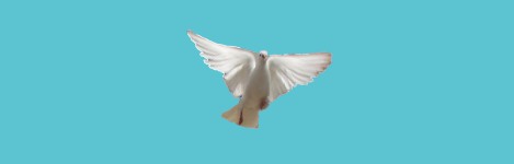 Holy Spirit